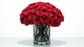 Red Roses/vase
